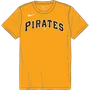 Nike MLB Adult/Youth Short Sleeve Dri-Fit Crew Neck Tee N223 / NY23 PITTSBURGH PIRATES